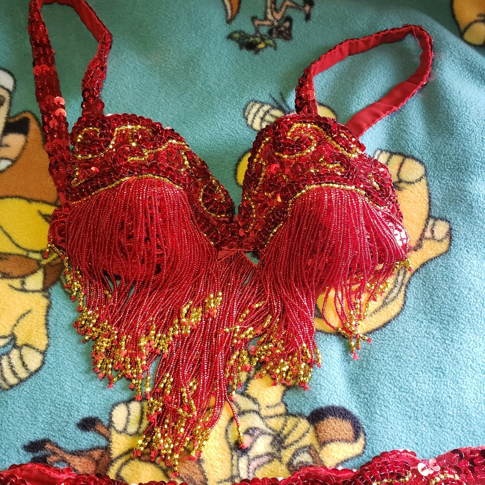 Profesional Turkish bellydance custume size 34C.